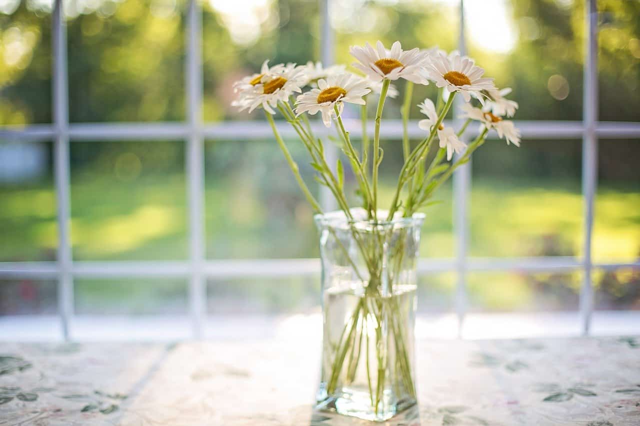 Daisies 2485064 1280
